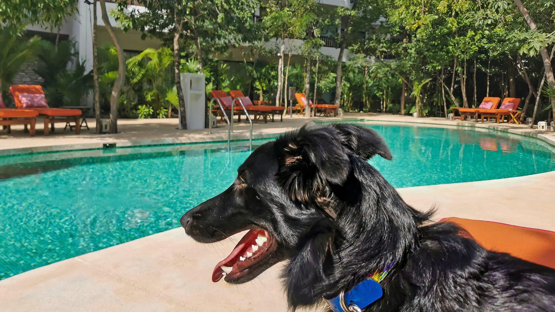 Kimpton Aluna Resort Tulum By Ihg